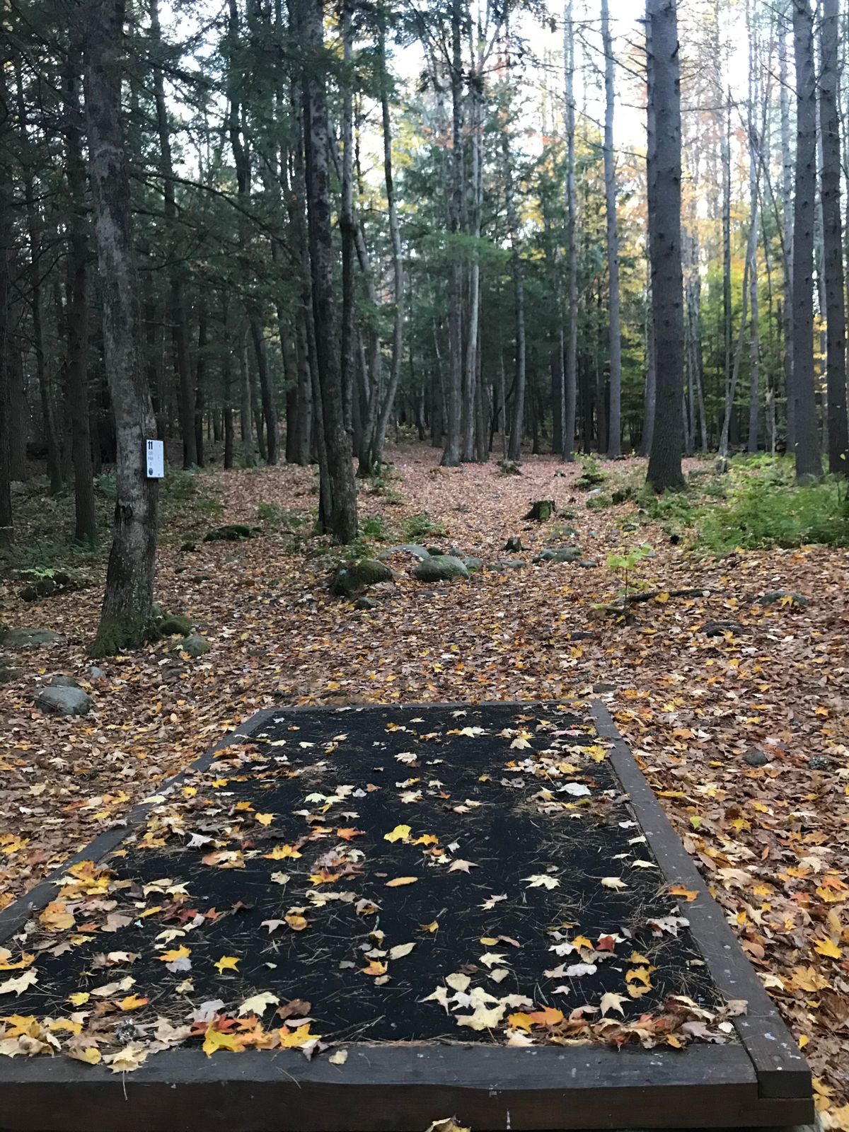 Hole 11 teepad