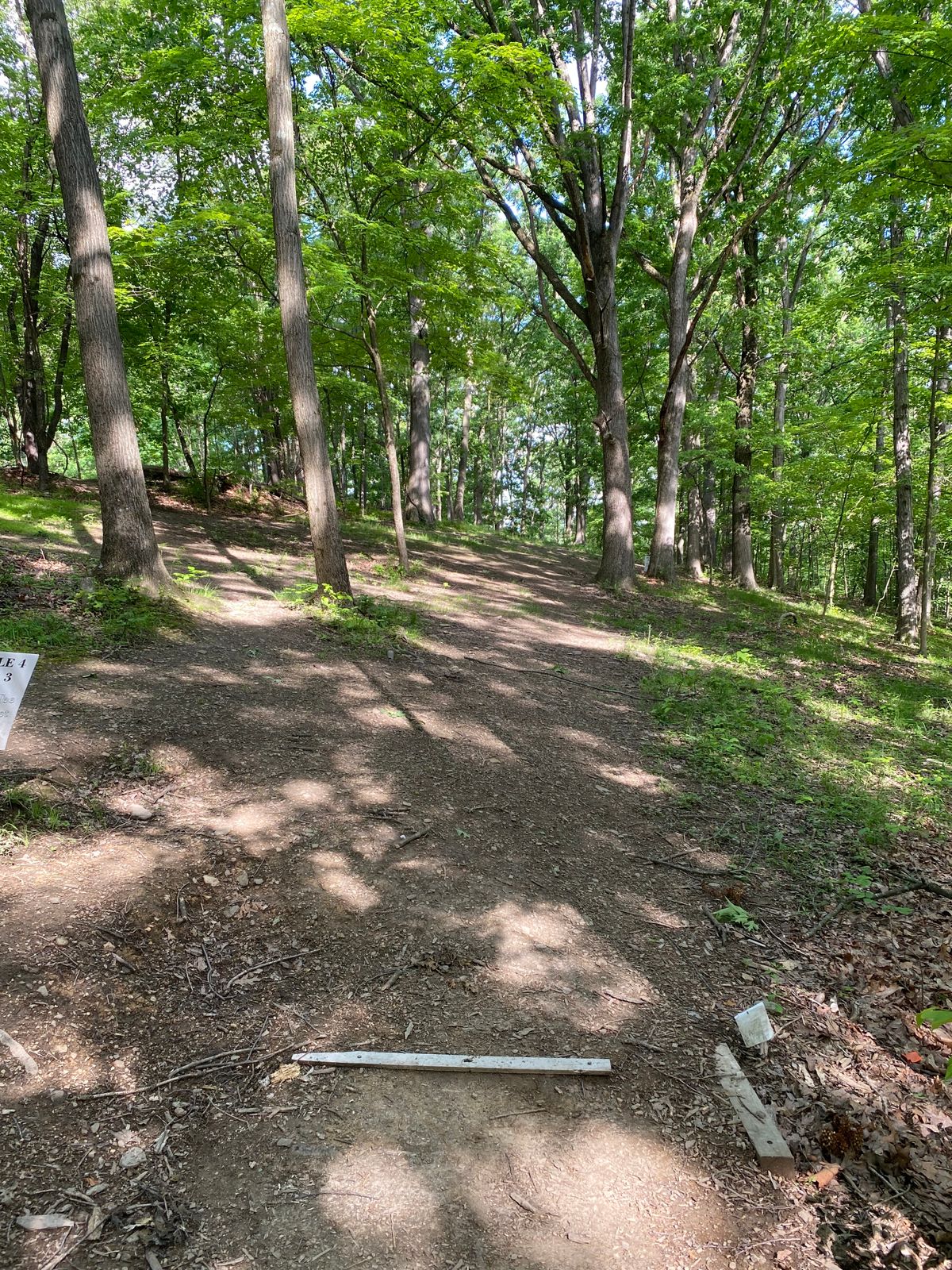 Hole 4 White tee