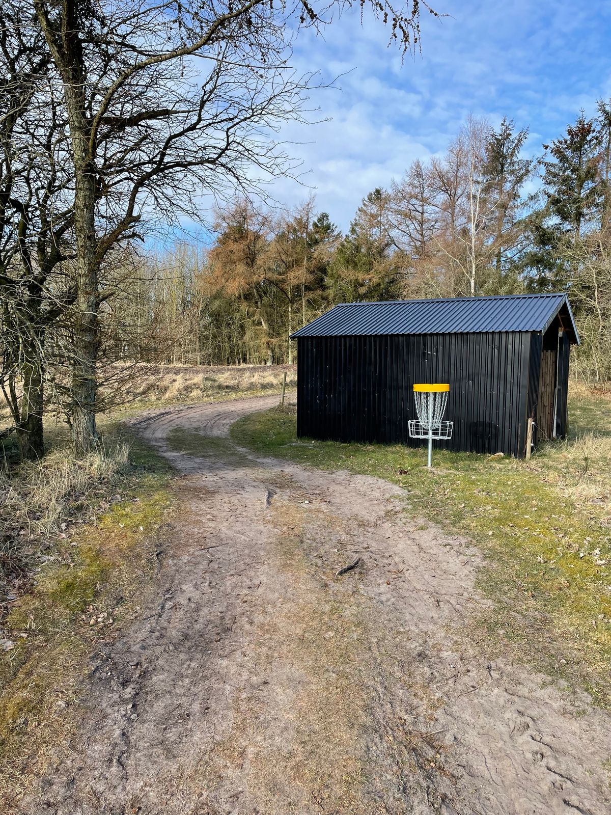 Basket Hole 5