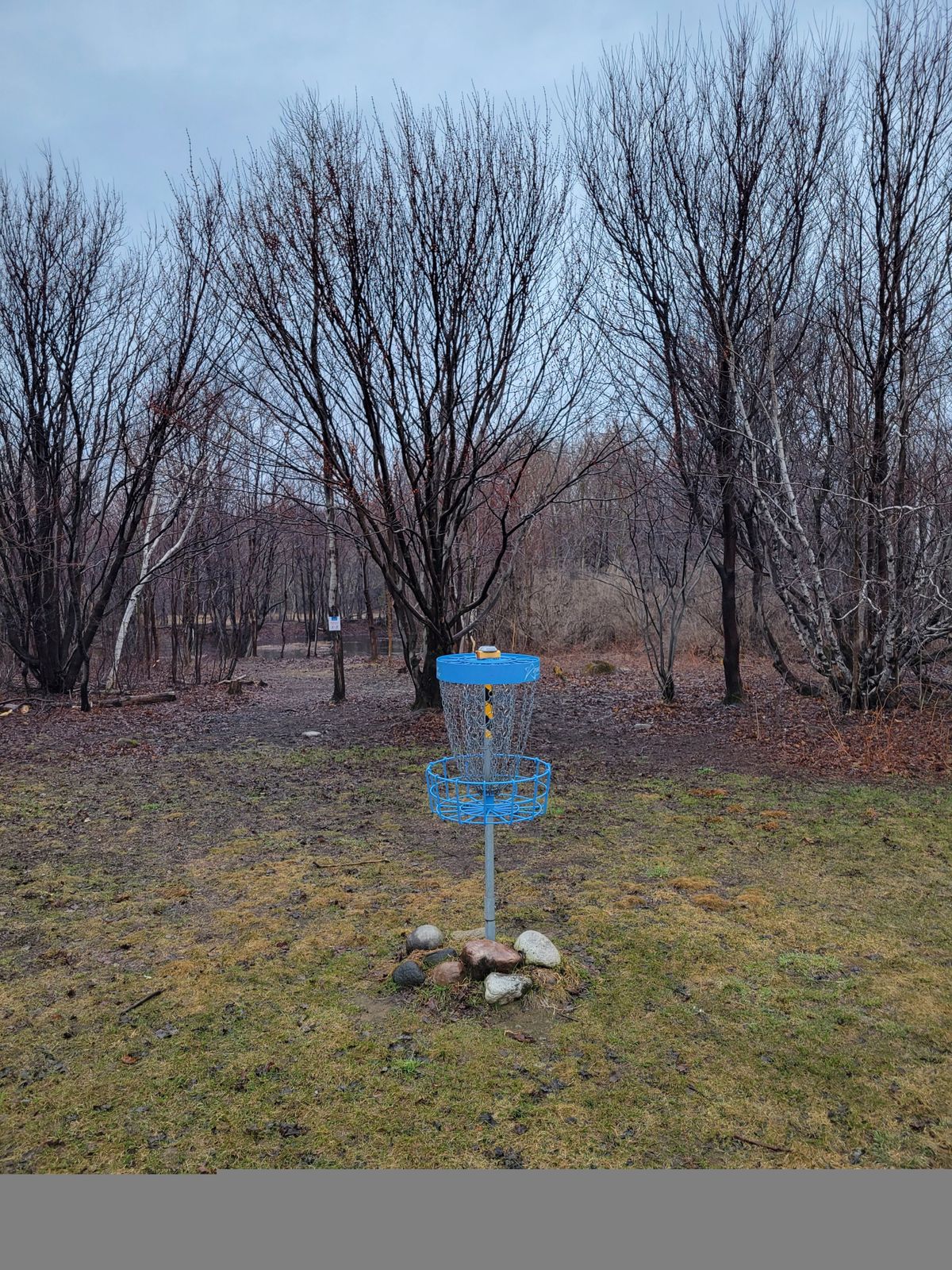 Circle of Hole 17