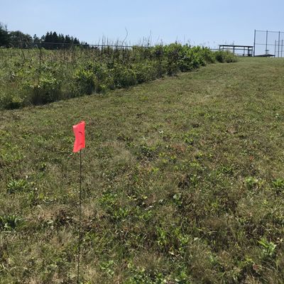 Hole 2