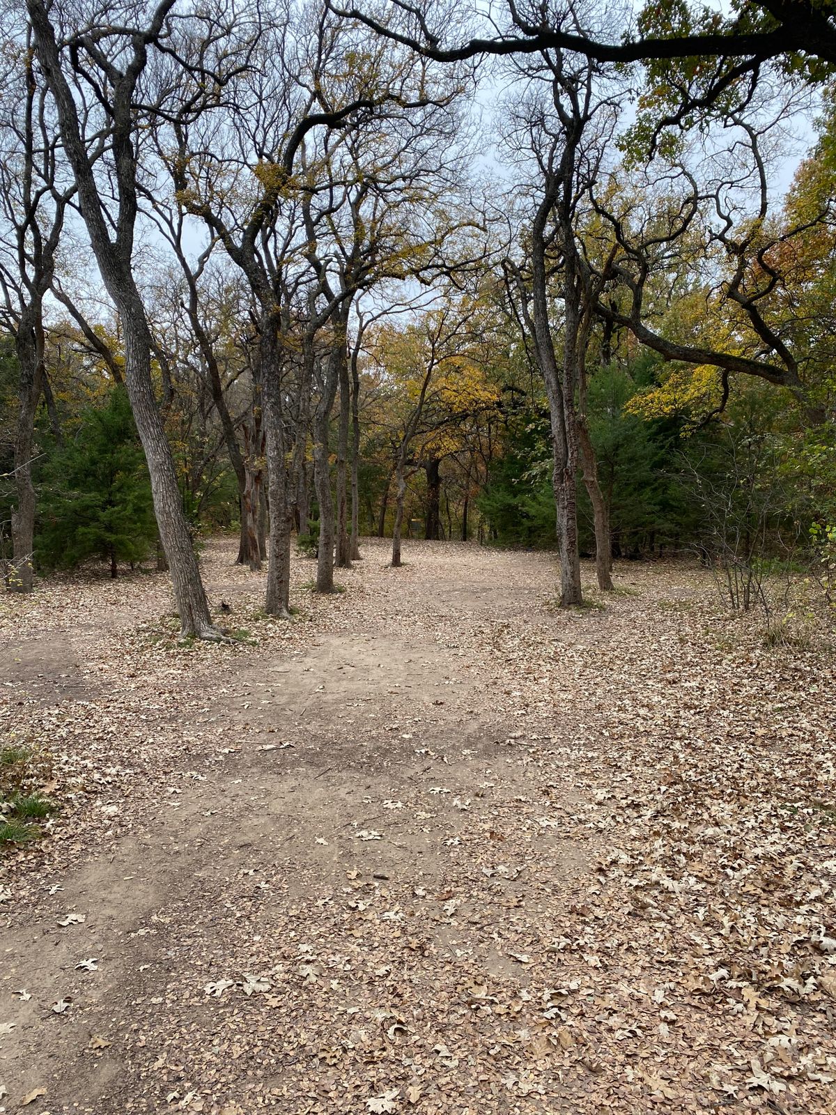 Hole 13 fairway