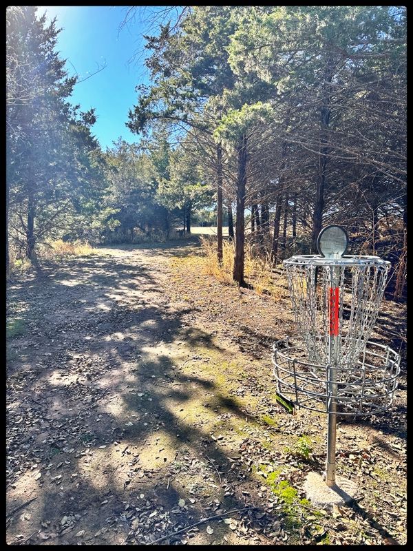 #11 green looking back to Tee