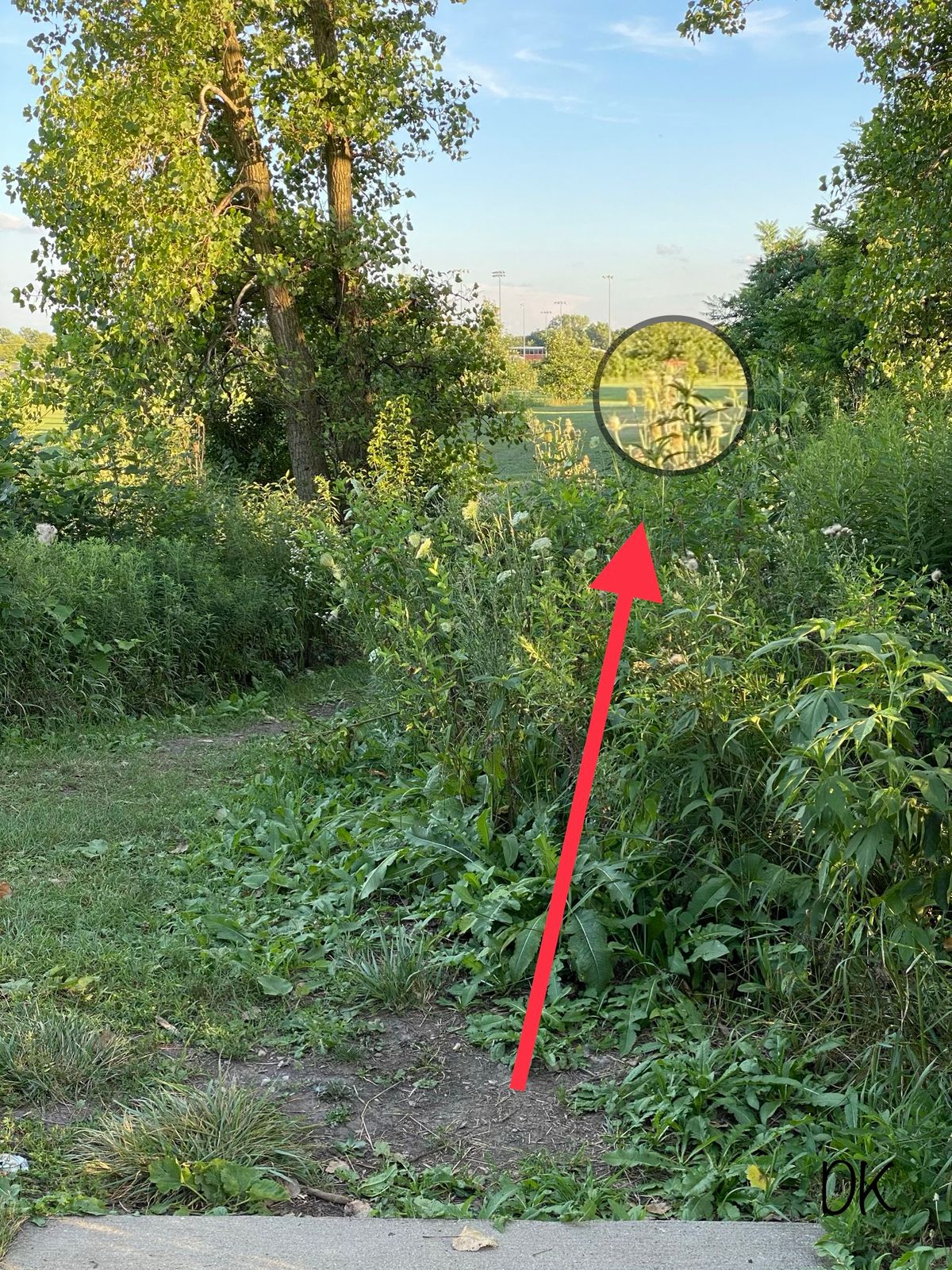 Hole 4