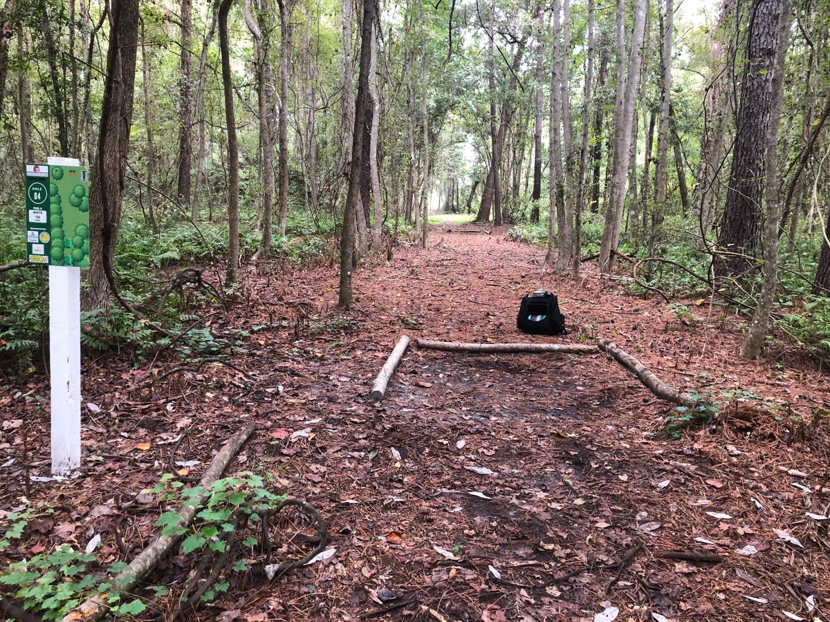 Hole 4 plays straight but stay to the left to get a shot at the basket