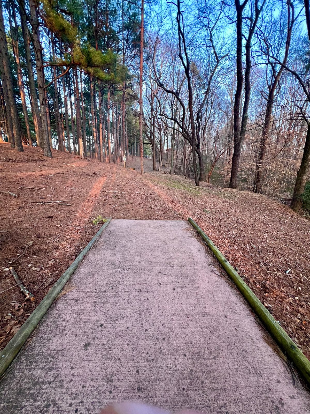 Hole 23 Gold Tee Pad/Fairway.