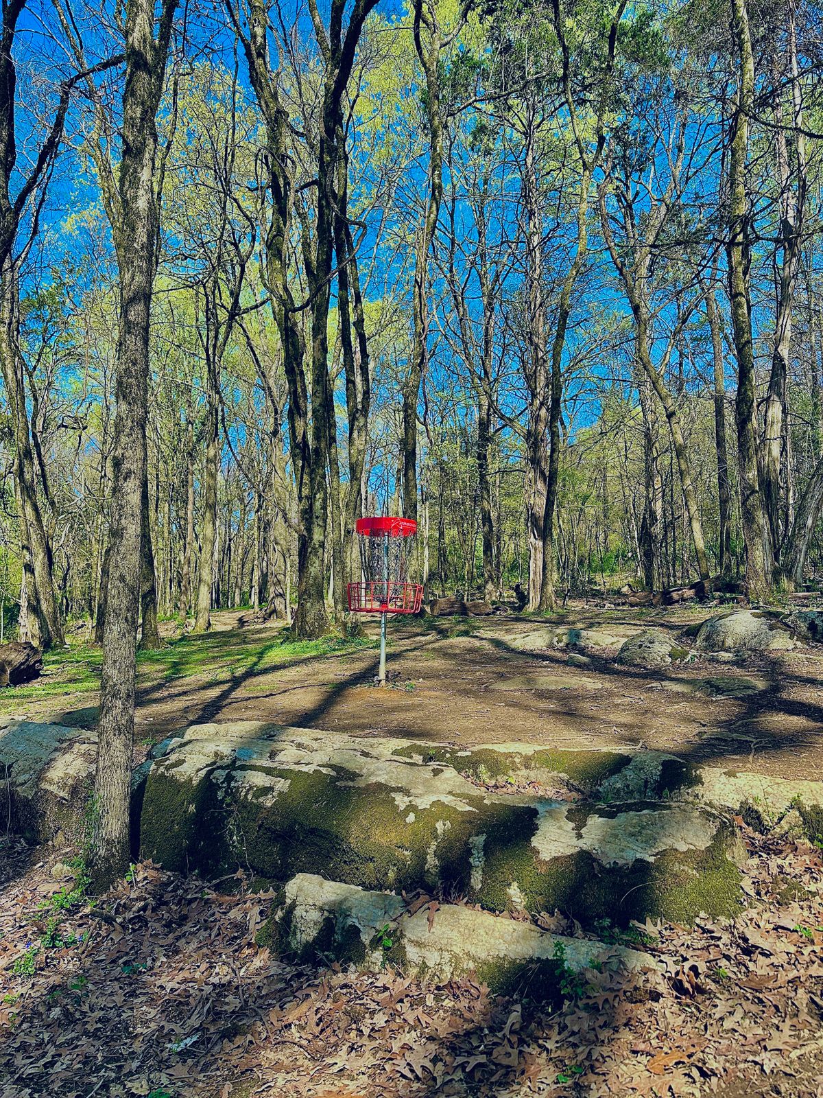 Hole 17 (Short Basket)