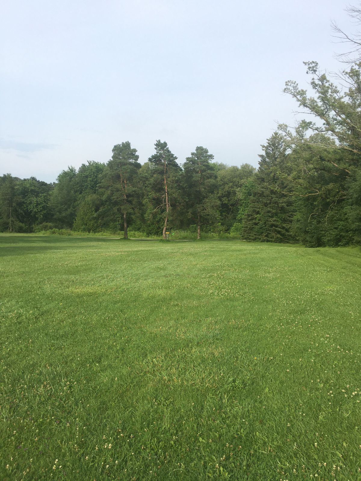 Short tee pad 4 🍁🇨🇦🍁🇨🇦