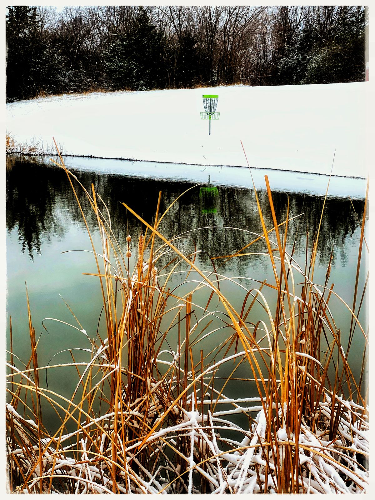 #12 from bridge