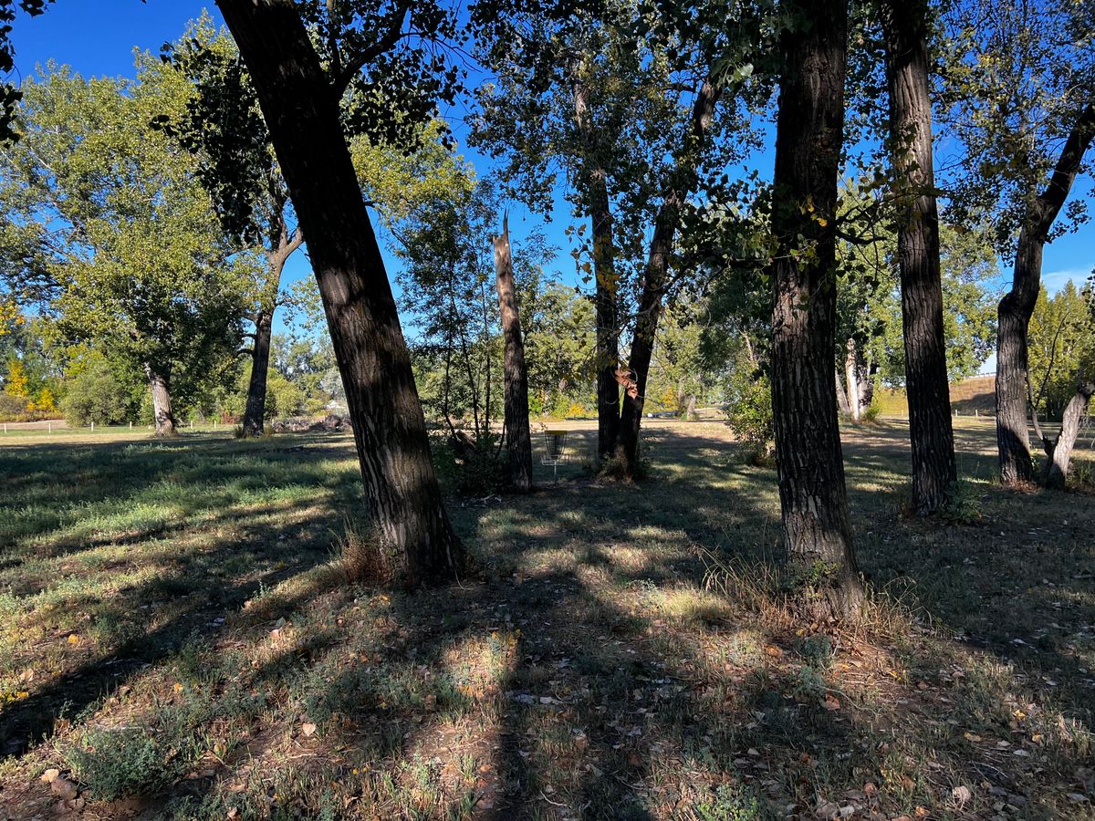 Basket Hole 4/13