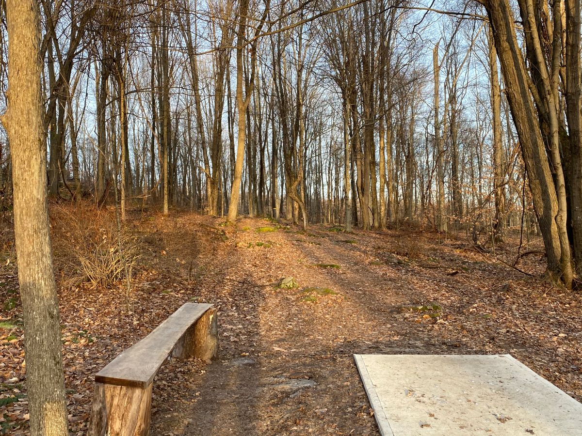 Hole 8 fairway
