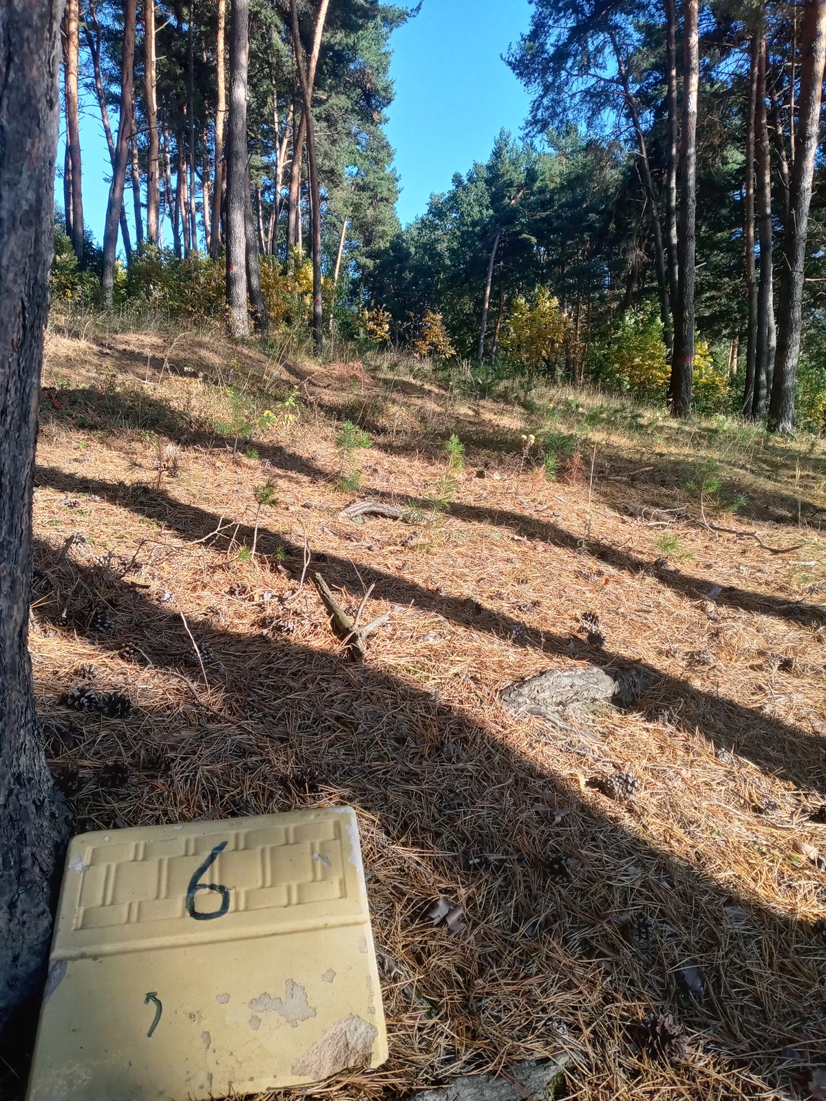 Hole 6 Tee