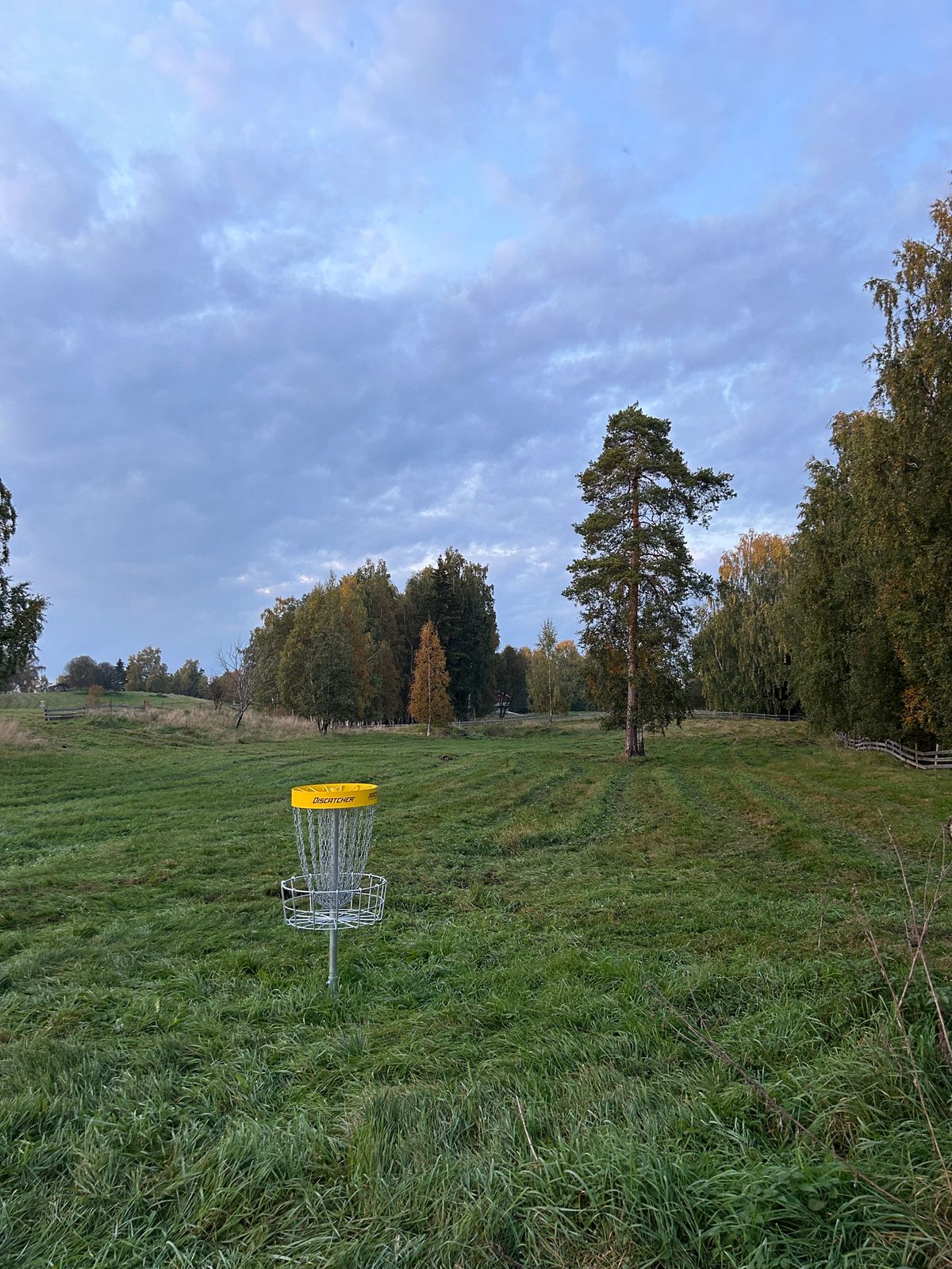 Basket hole 11.