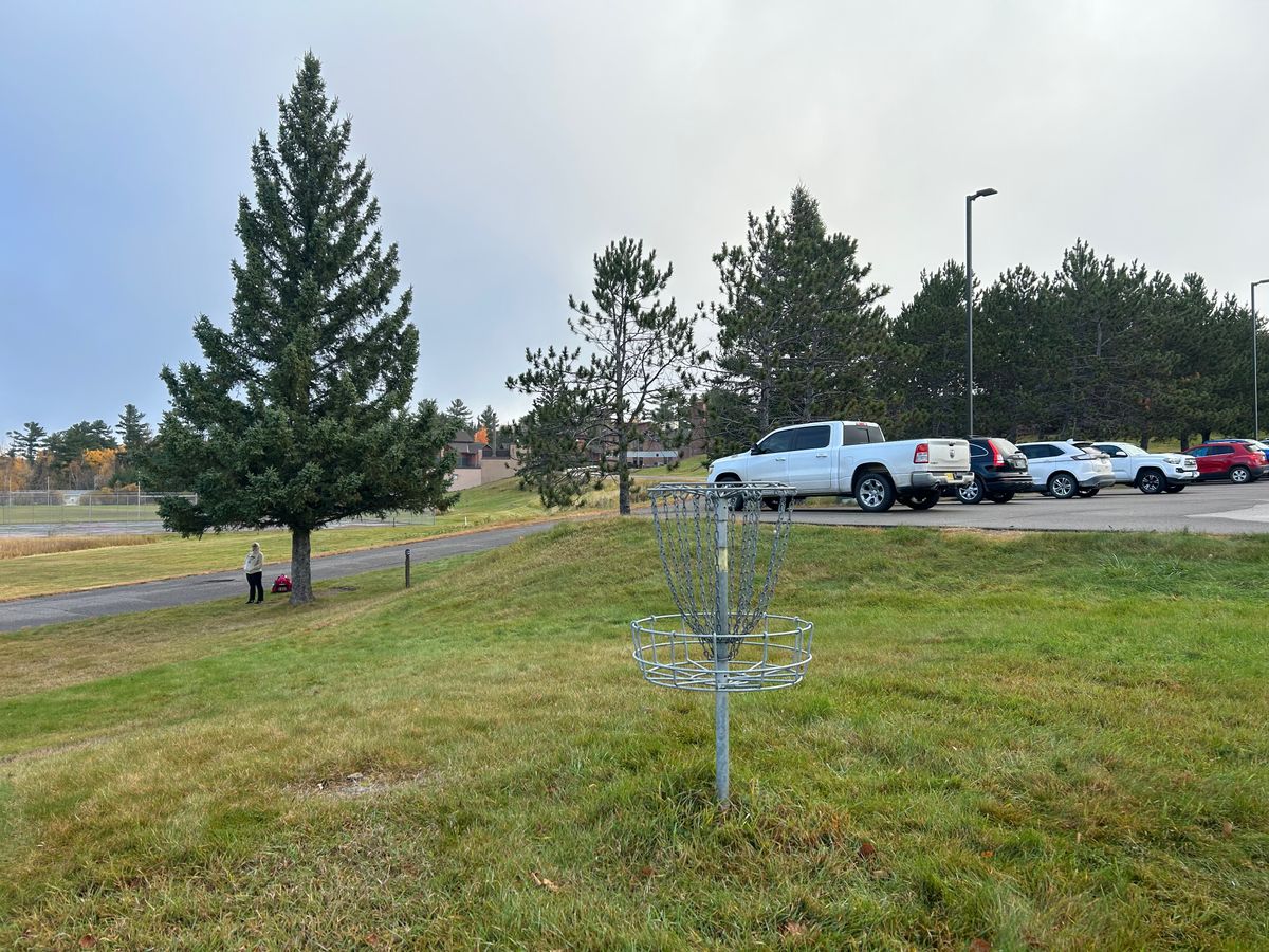 Hole 8 basket looking back towards teepad