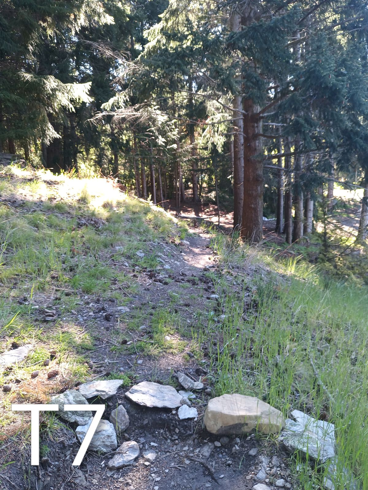 60m Throw straight down the hill to the basket you can see between the two trees