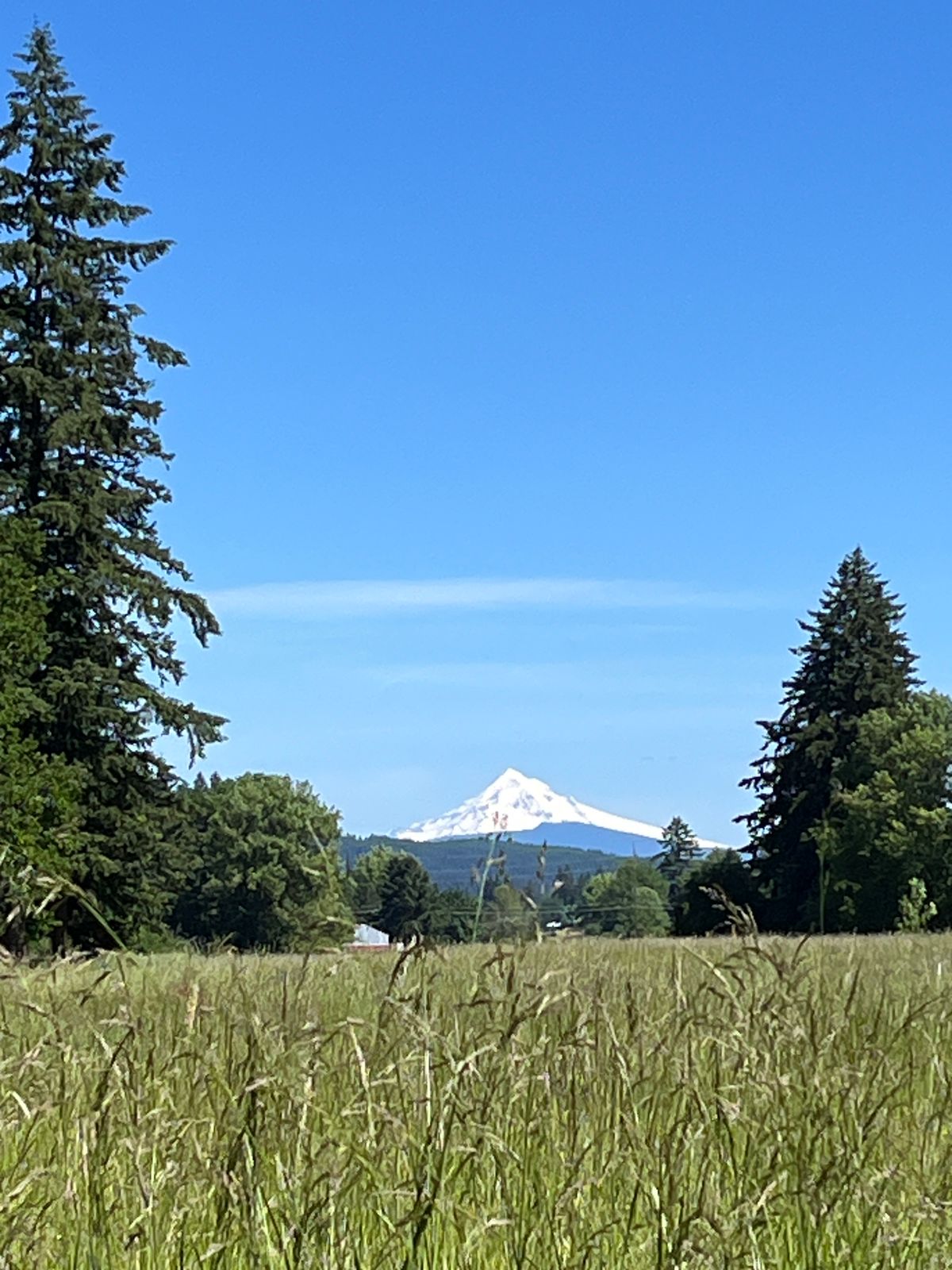 View from hole 14