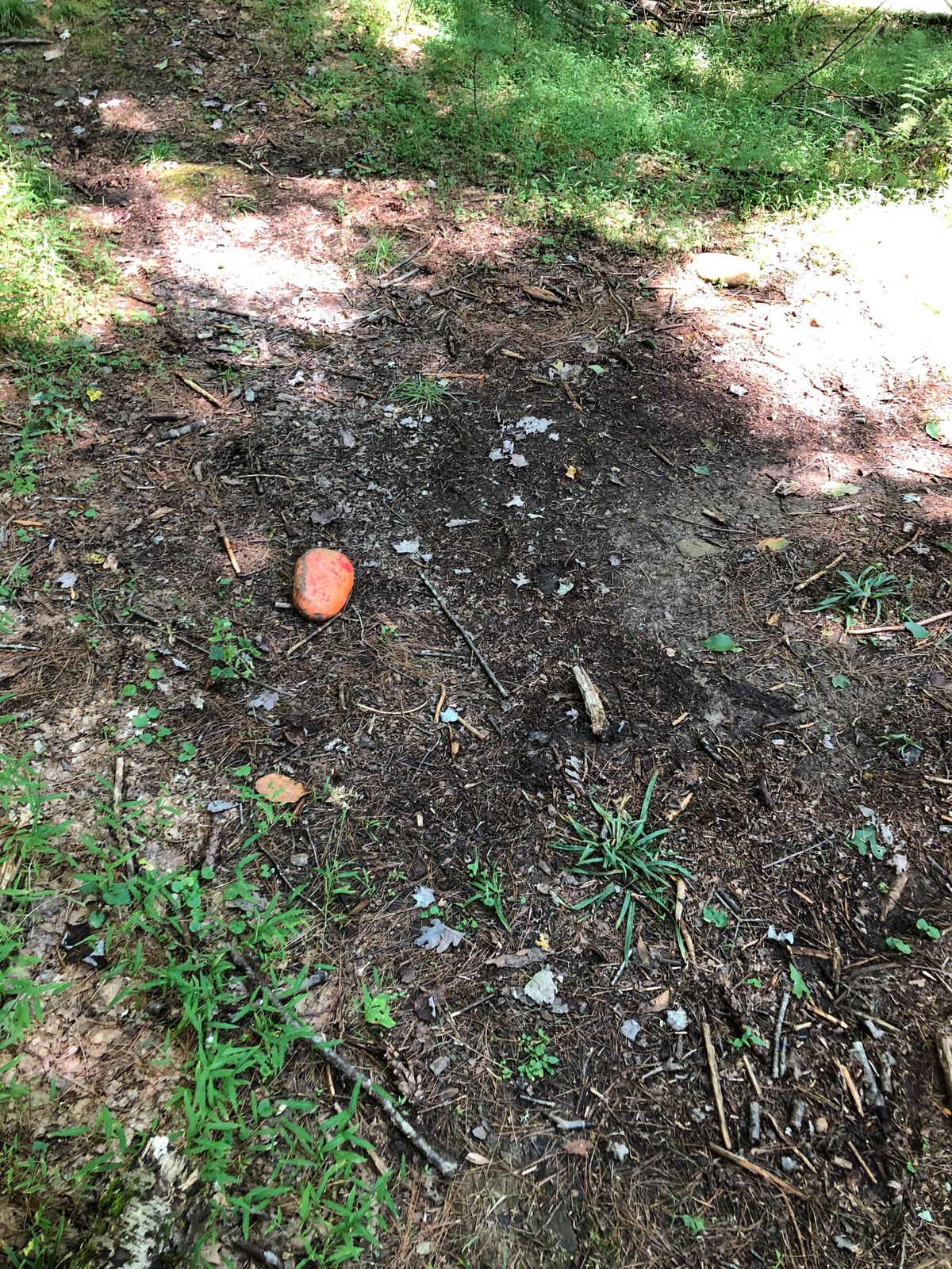 #2 Tee “box”