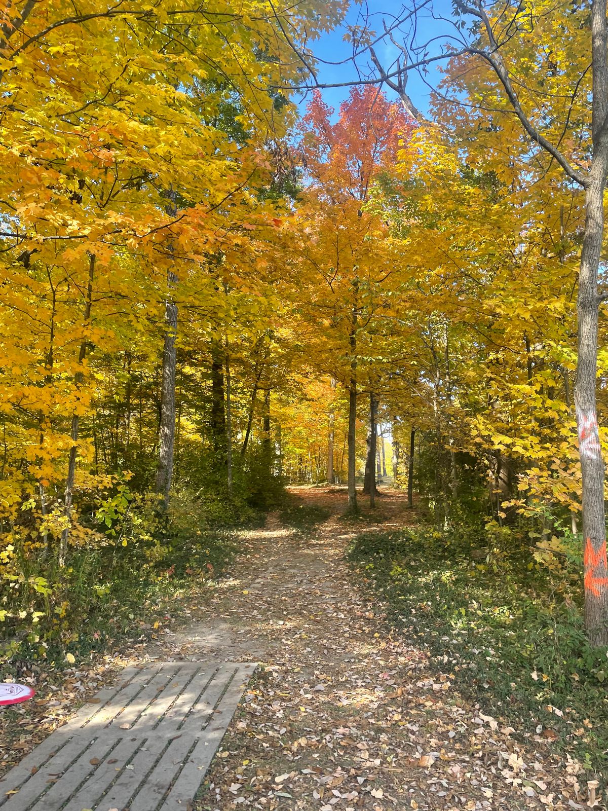 Hole 13