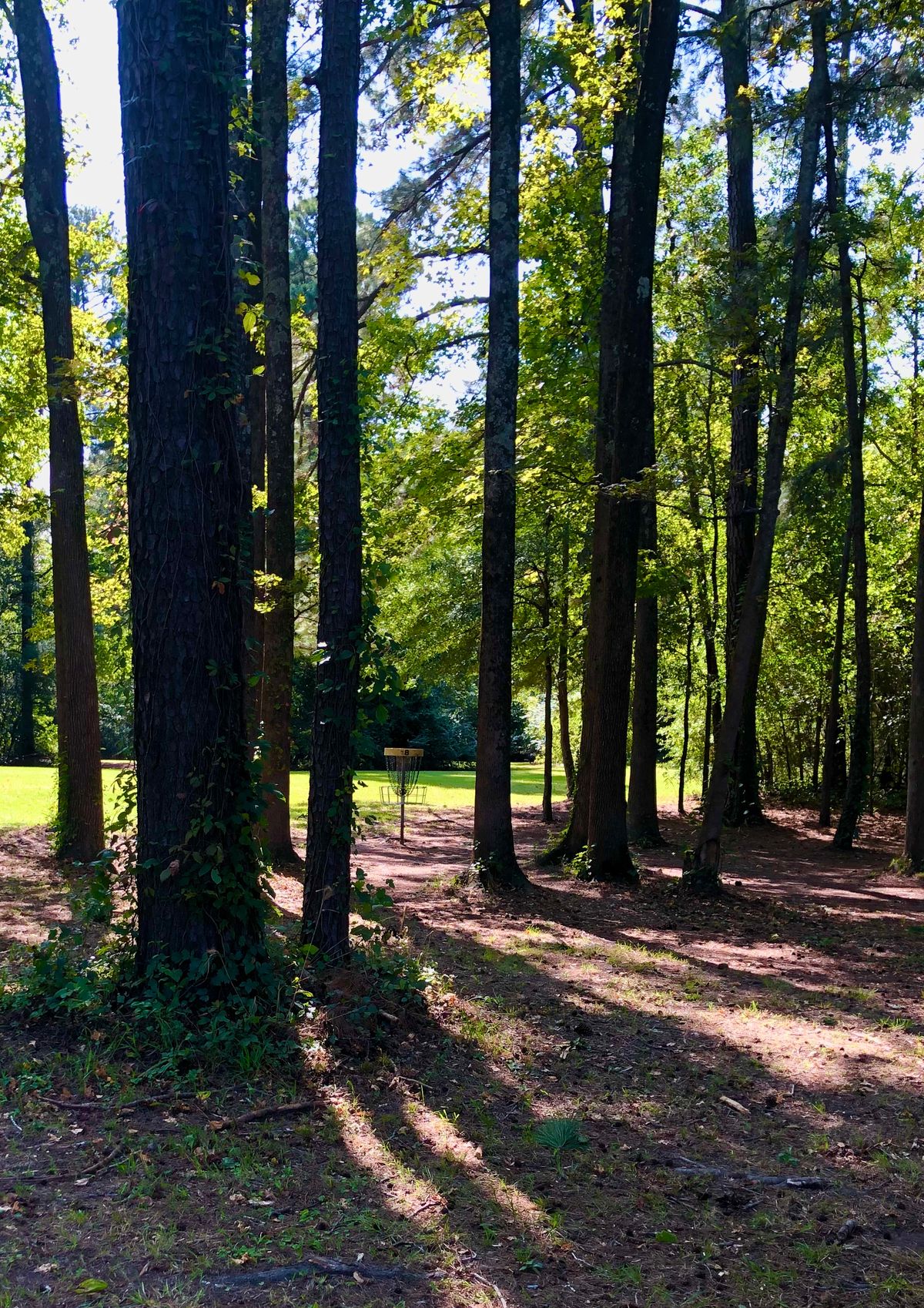 Hole 18 with fairway in the background