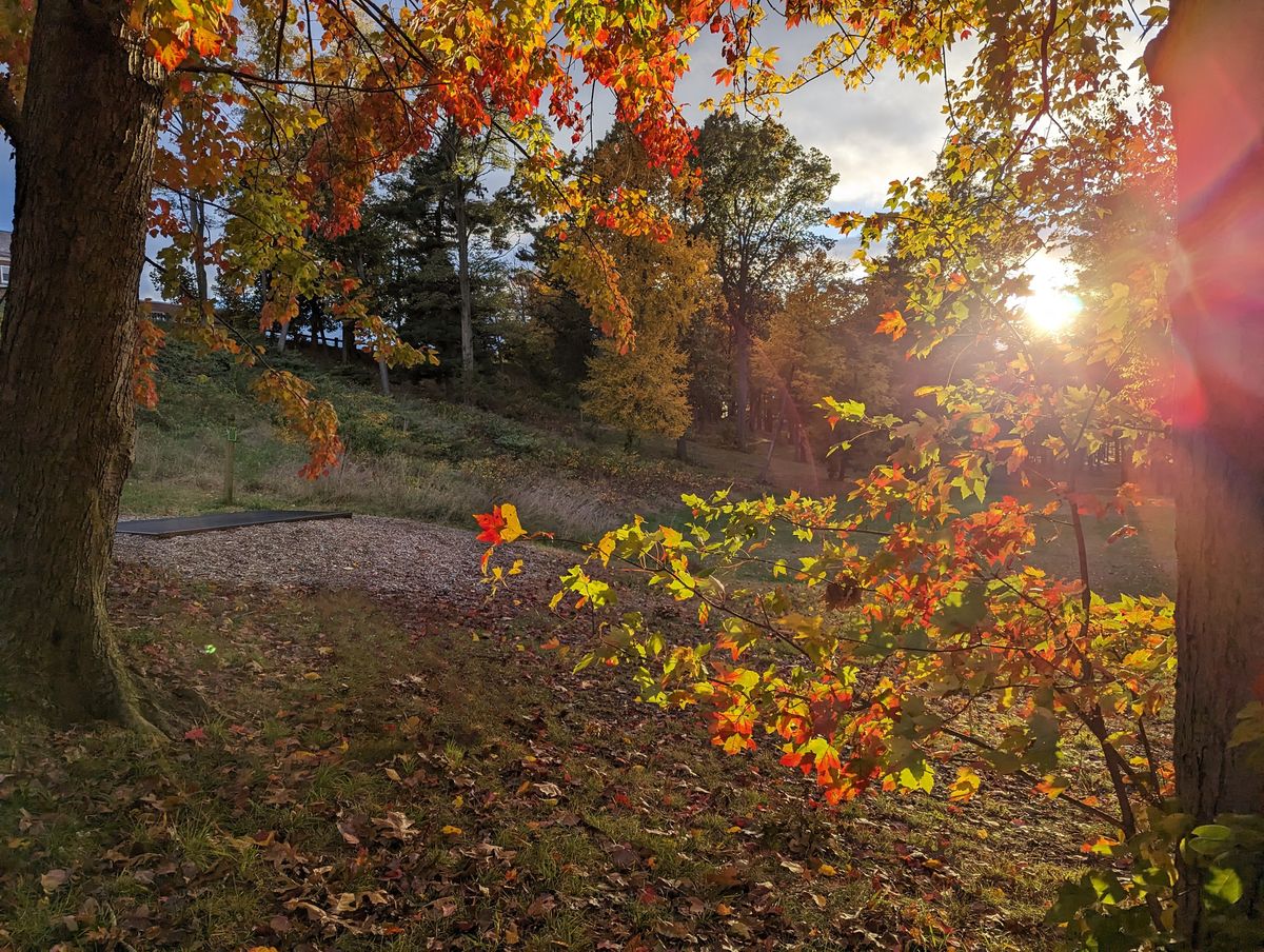 Golden Hour at Center