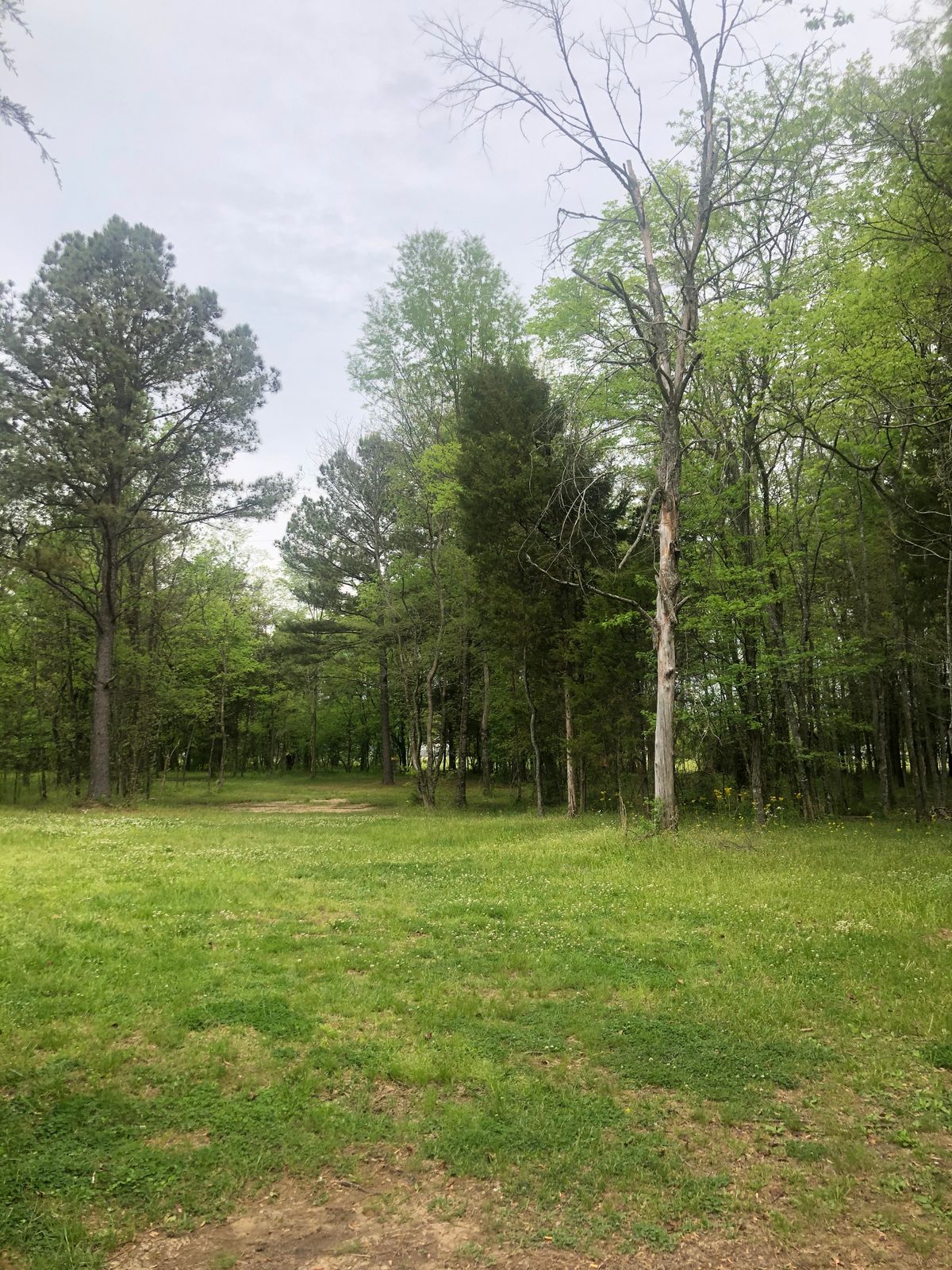 Hole 1