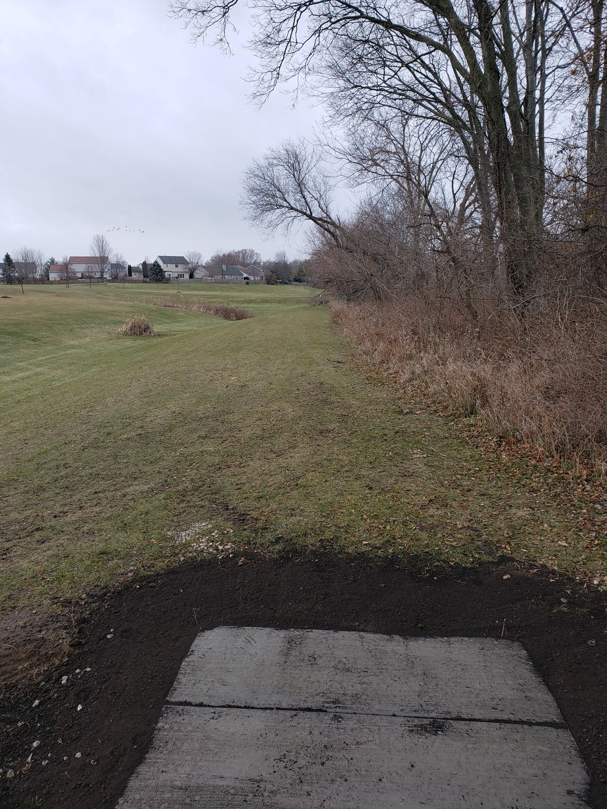 Hole 5 long