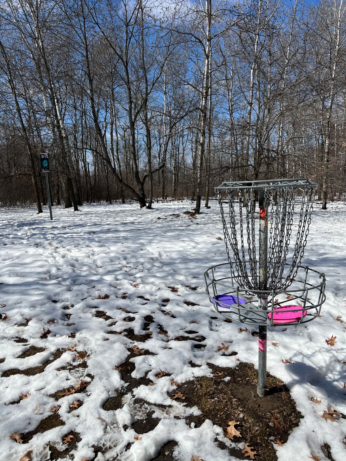 Holes 1-3 are snow covered but very trackable. Much fun!