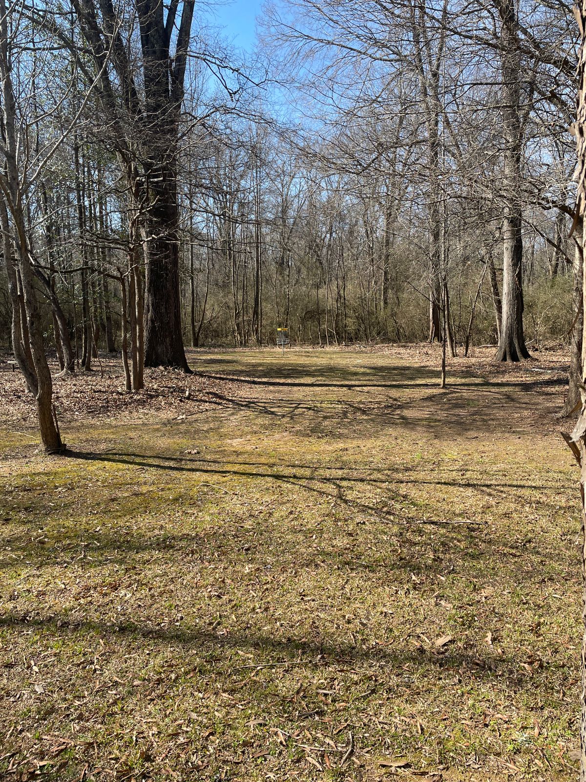 View up 1st fairway.  All look about same.  Wide open.