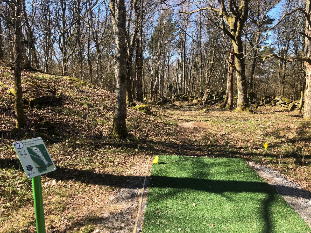 Hole 7
