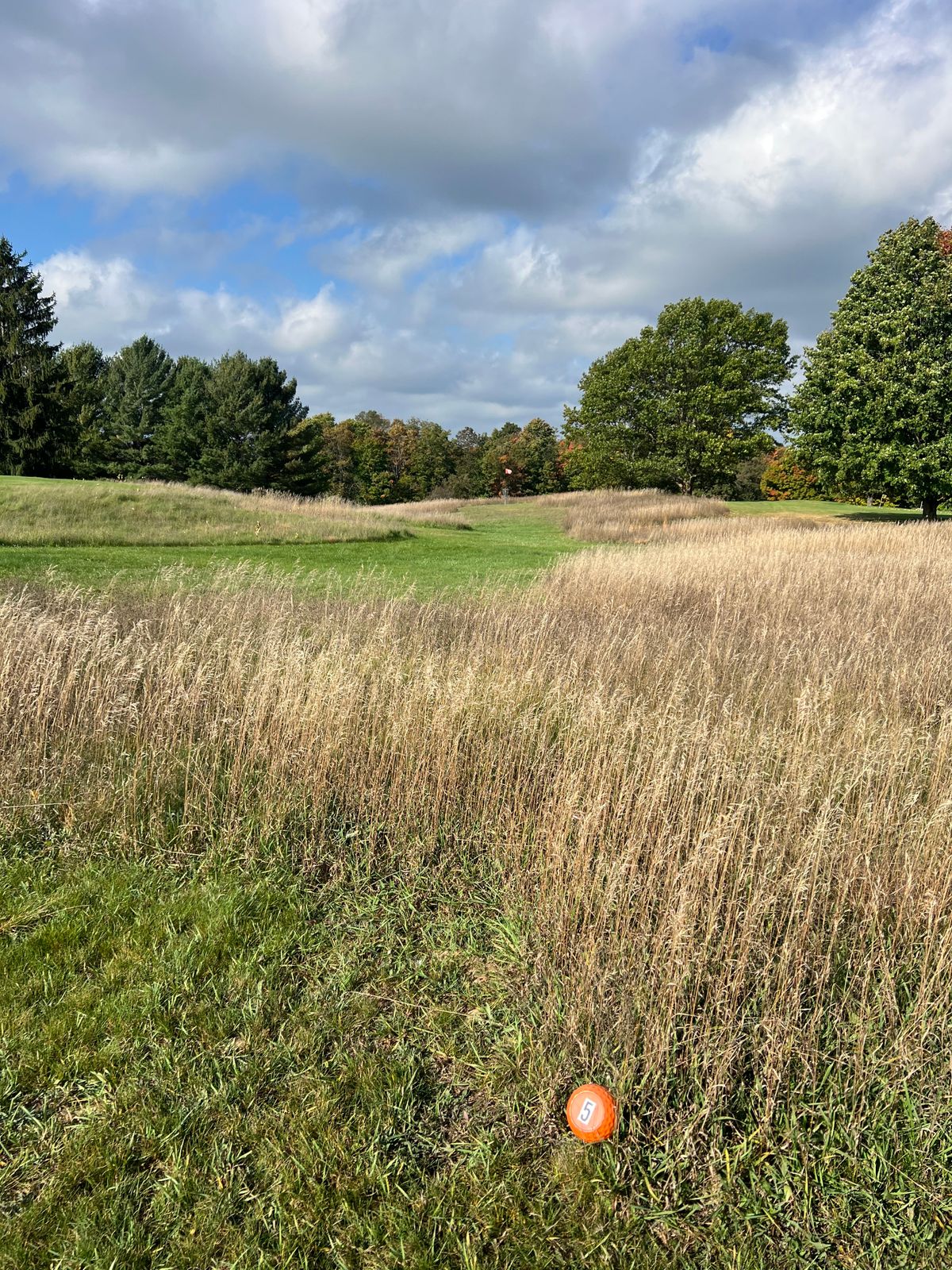 New Hole 5