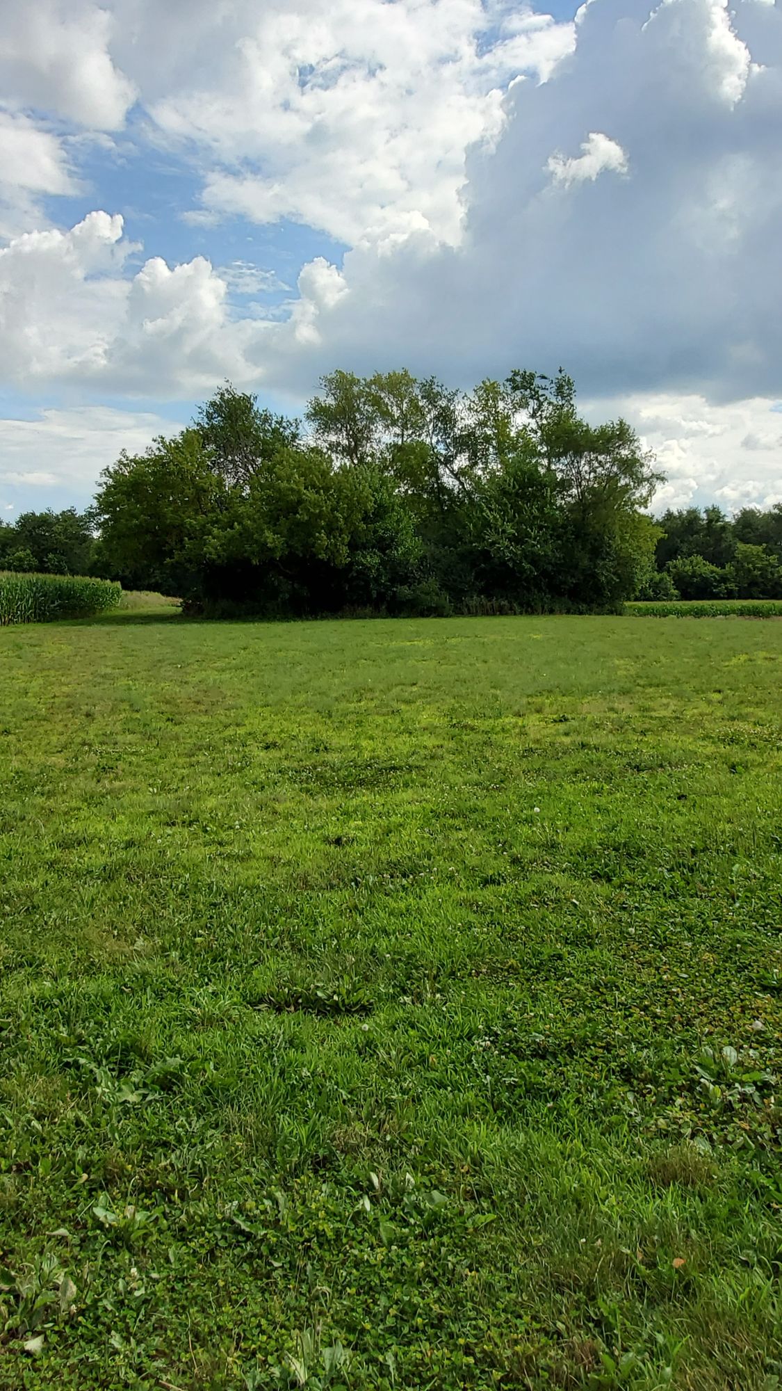 Hole 3's fairway.