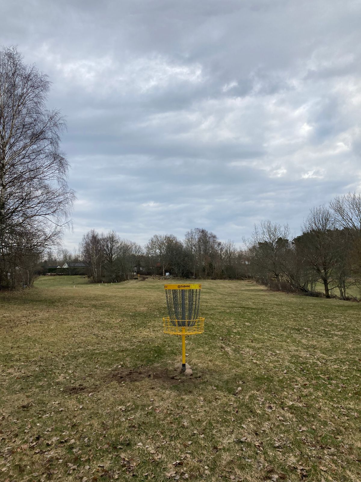 Omgjorda hål 7 (fd hål 8) som nu spelas som långt par 3.