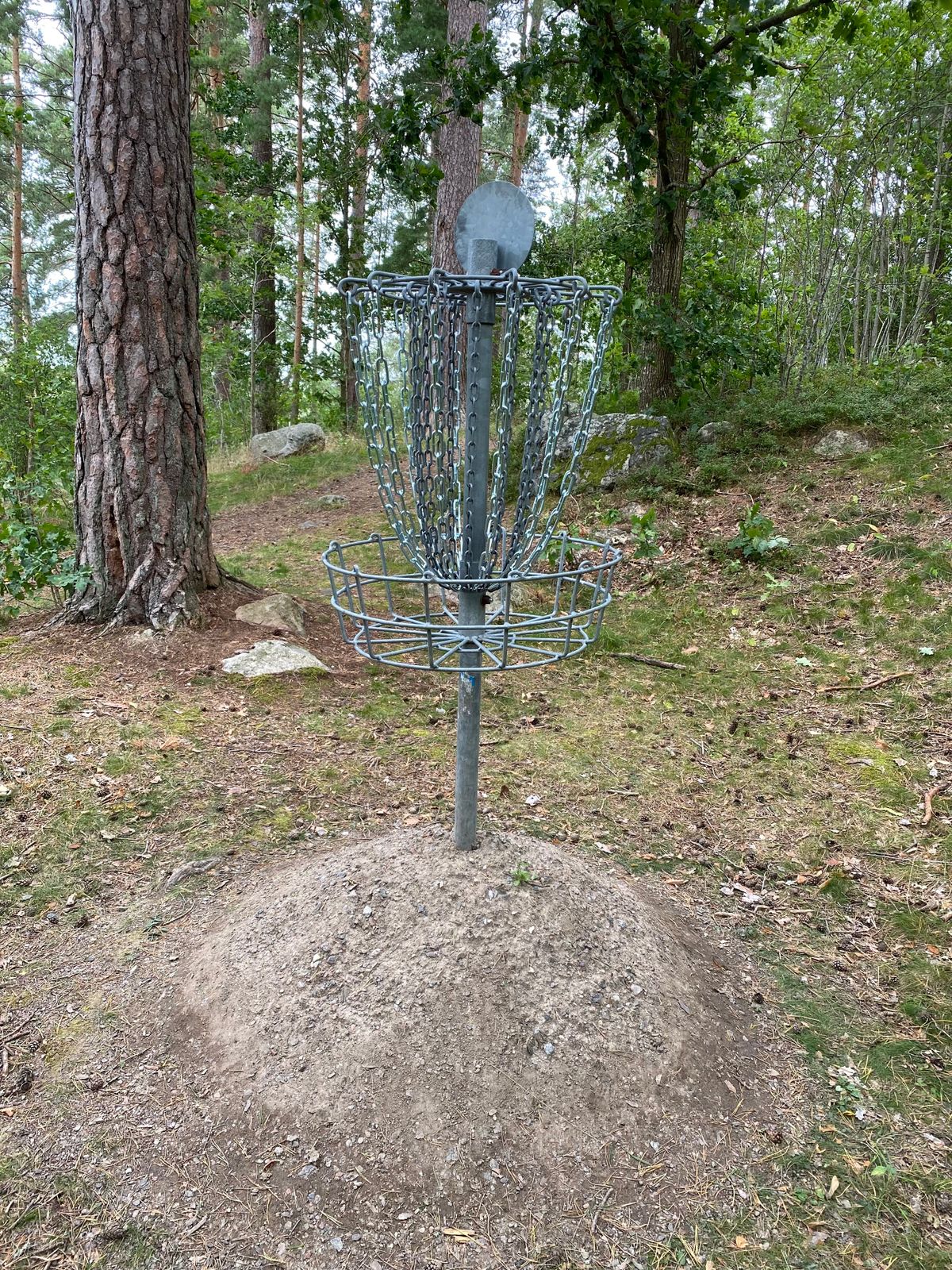 Hole #12