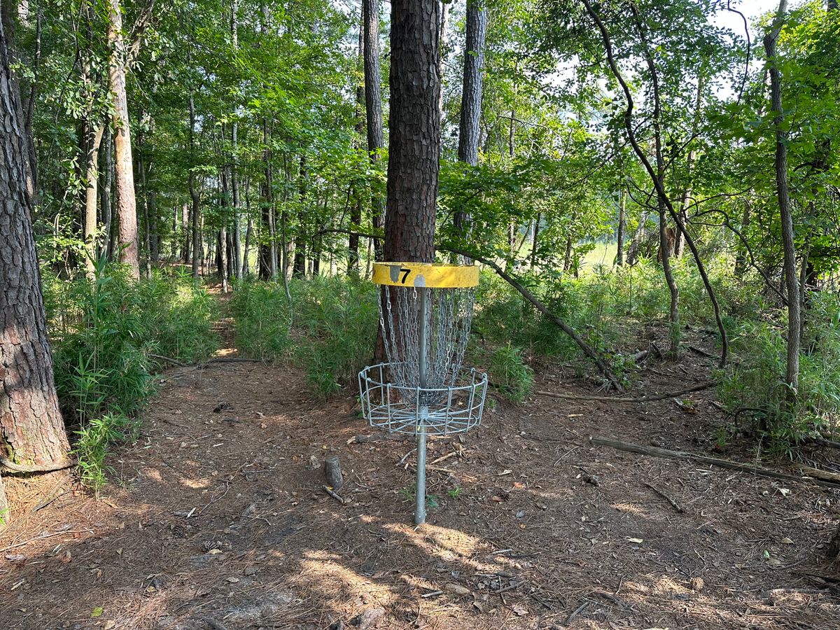 Hole 7 Basket