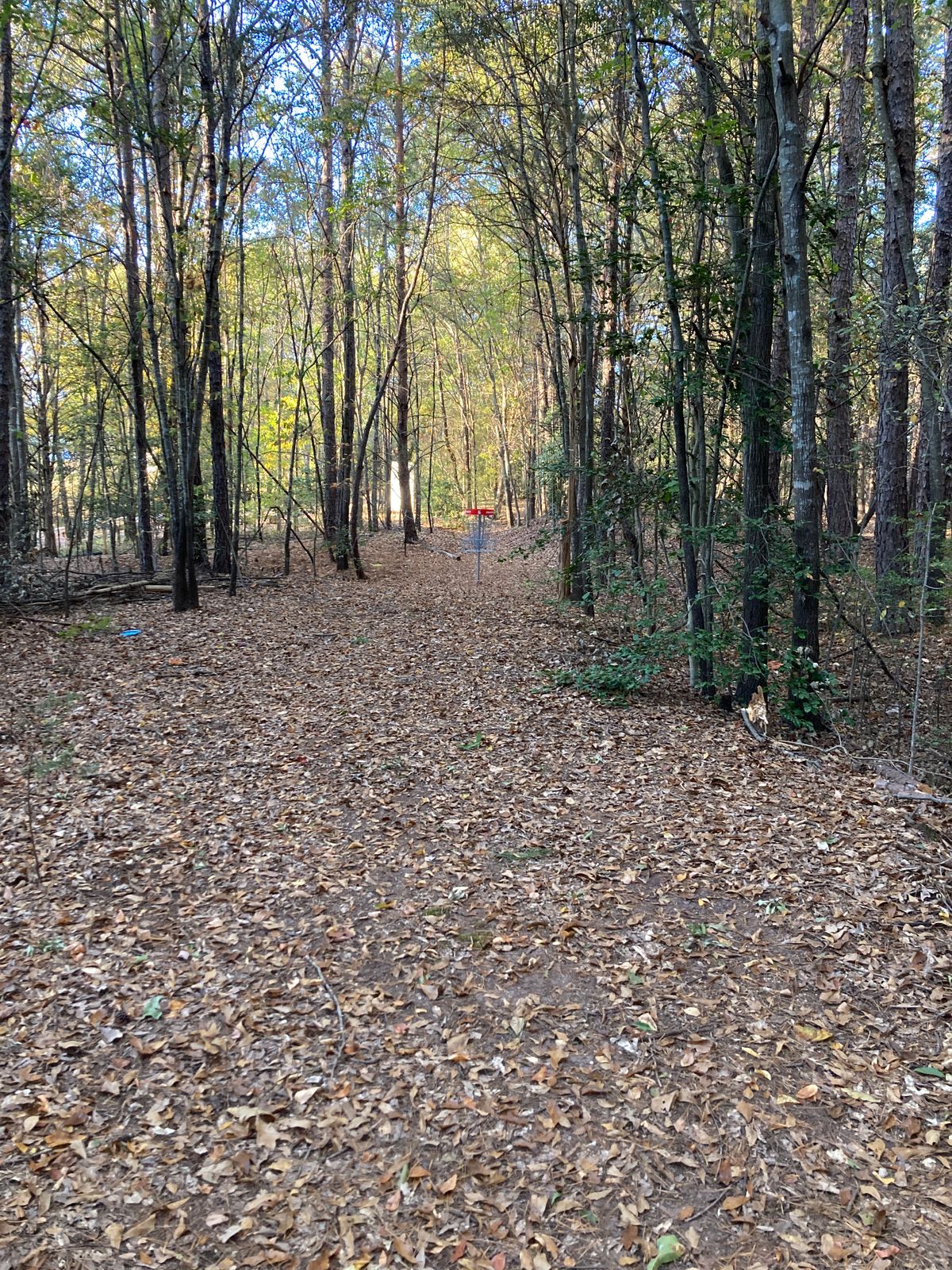 Hole 6.