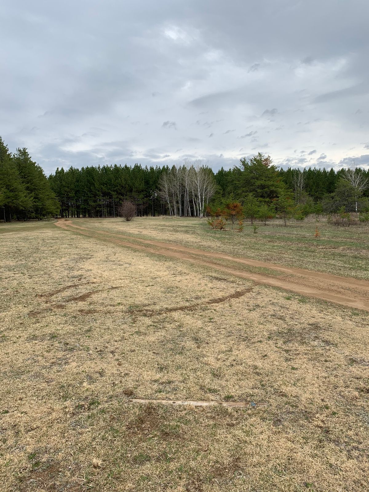 Hole 4 tee box (long)