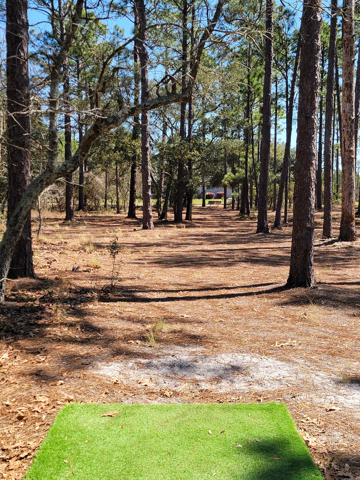 Hole 17 tee