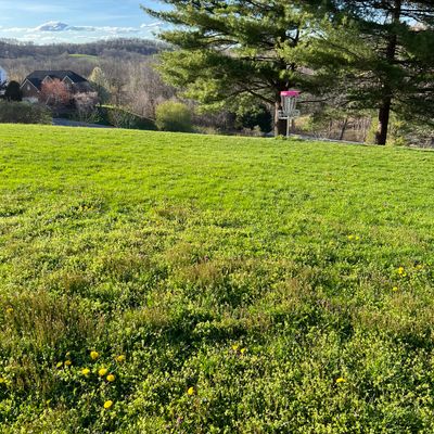 Beautiful course