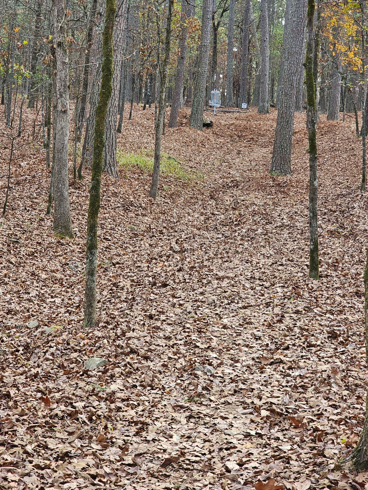 Hole 2