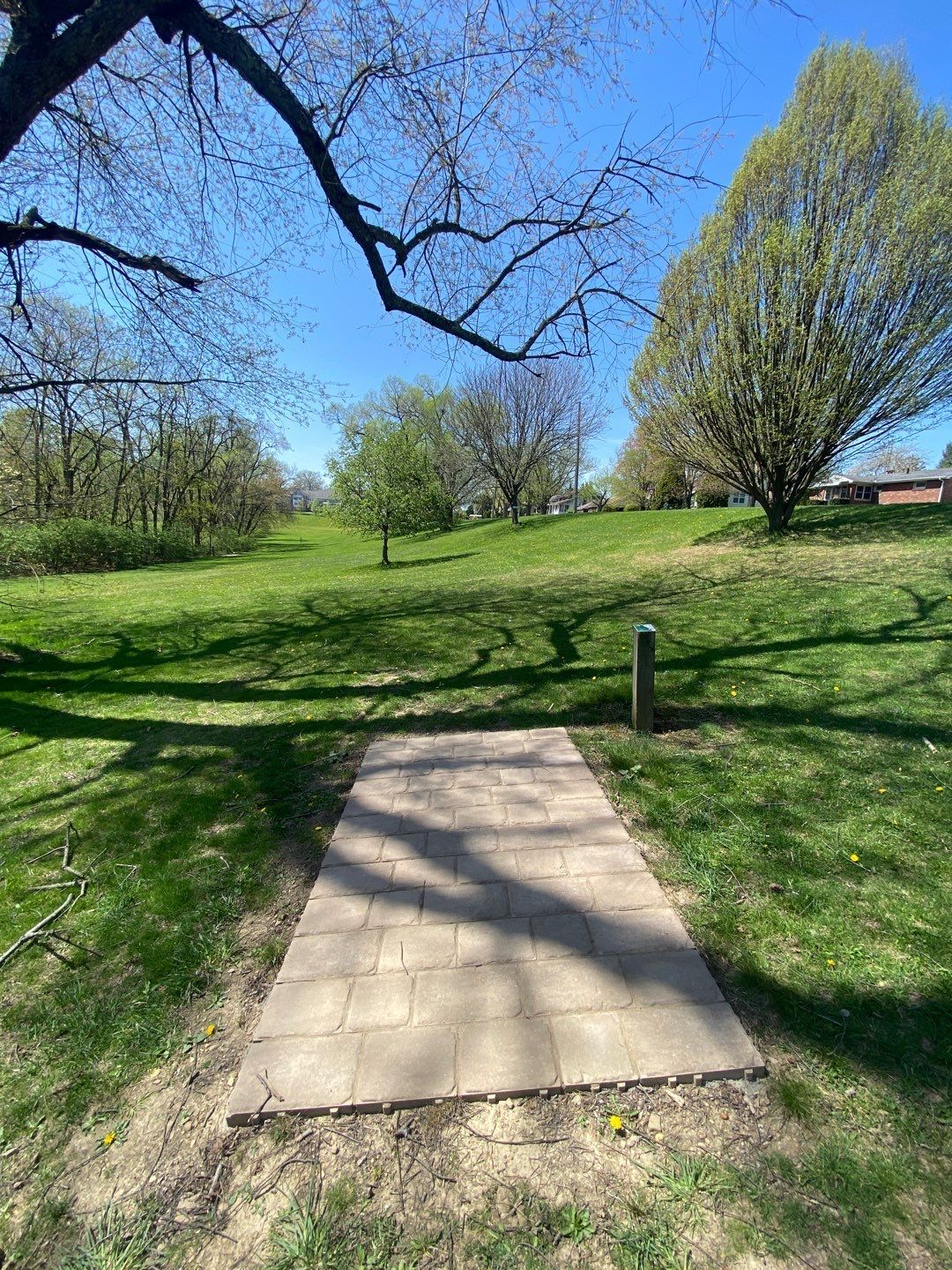 Hole 5 long