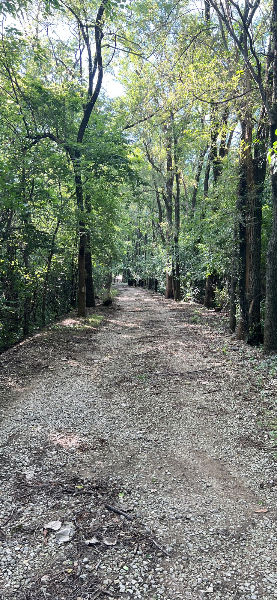 Serine path to Hole 6 - i could feel my hormones settling in here - June 2024
