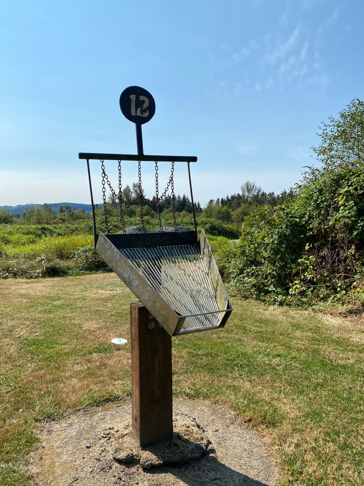Hole 12 alternate custom target. Fun!