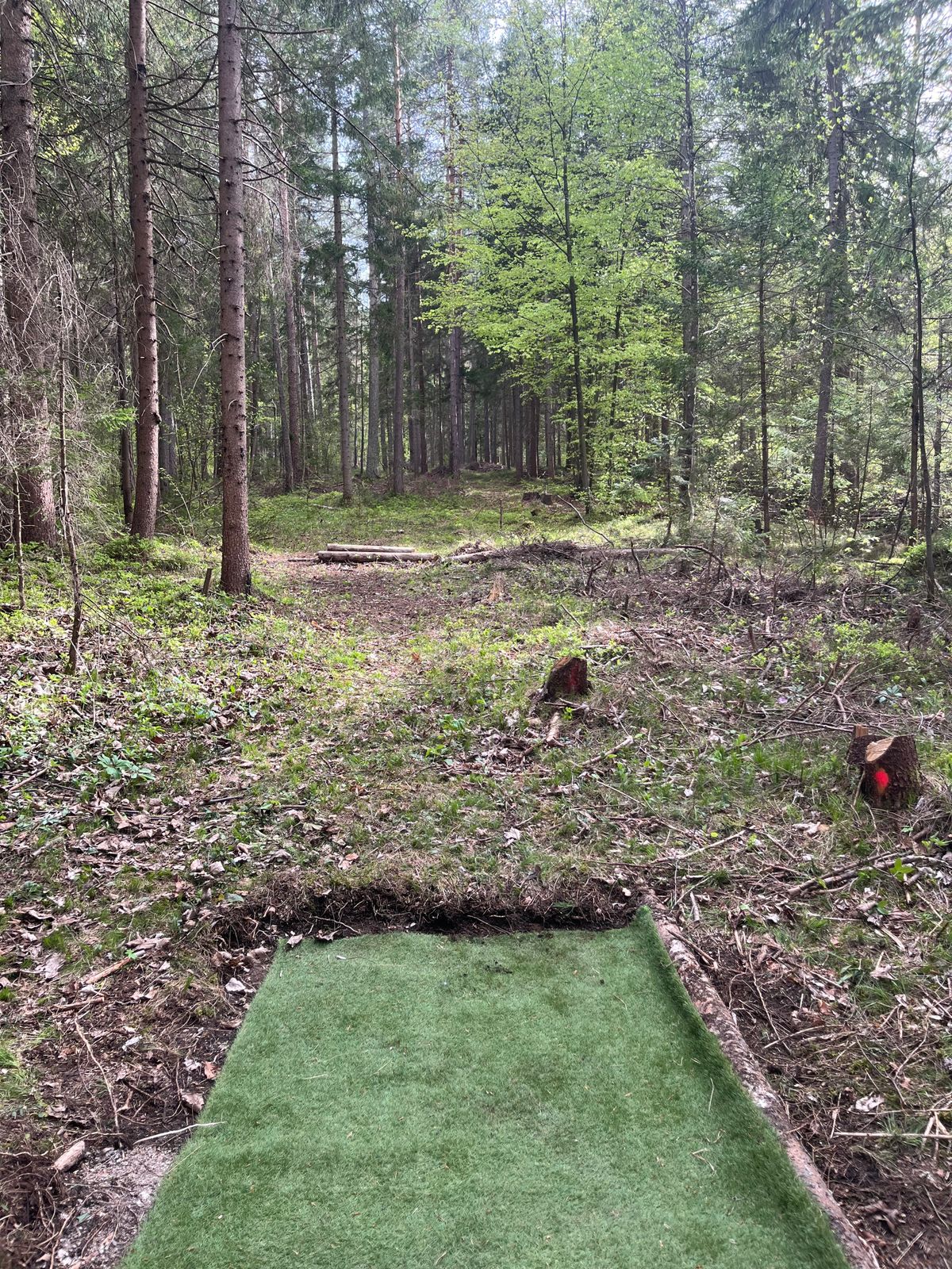 Teepad 4 difficult par 5