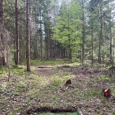 Teepad 4 difficult par 5