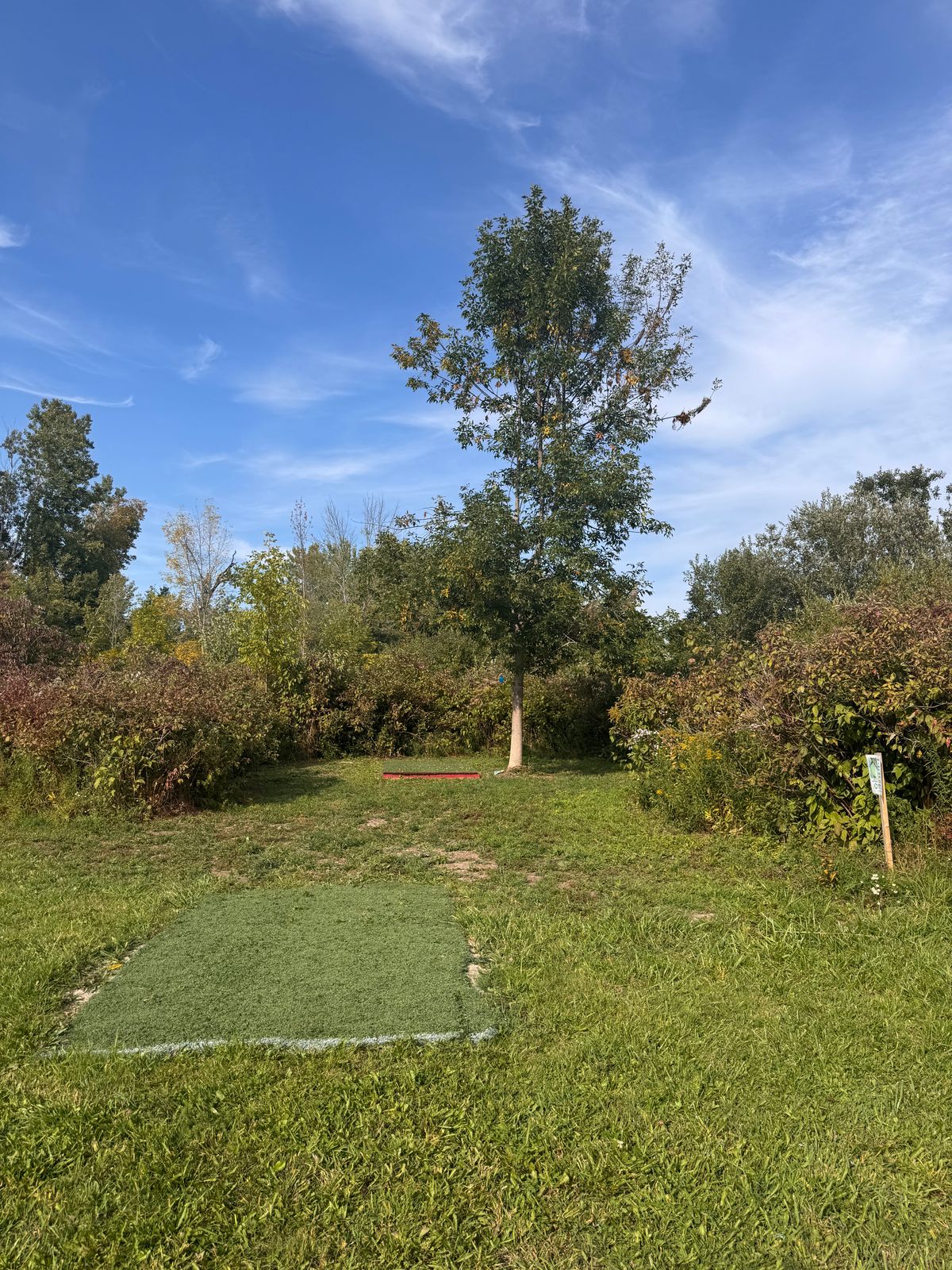 Hole 9 tee pads
