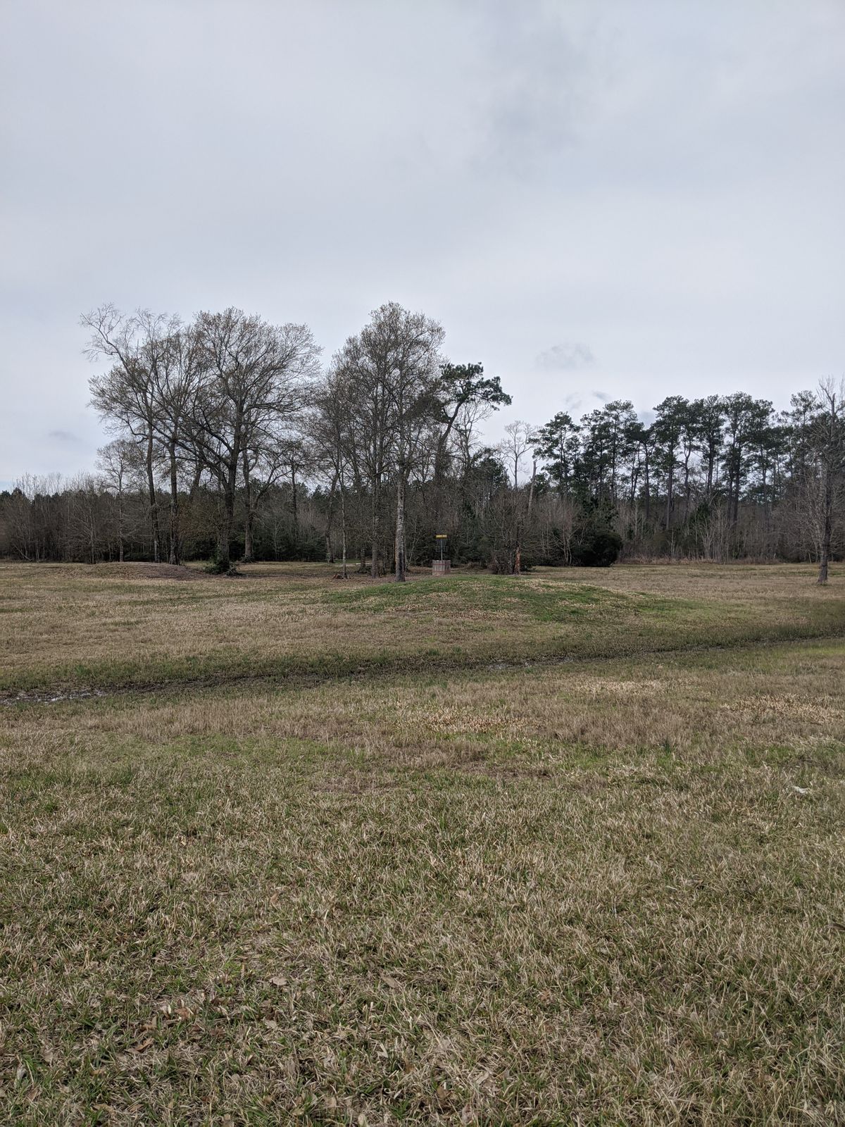 Hole 5 Fairway