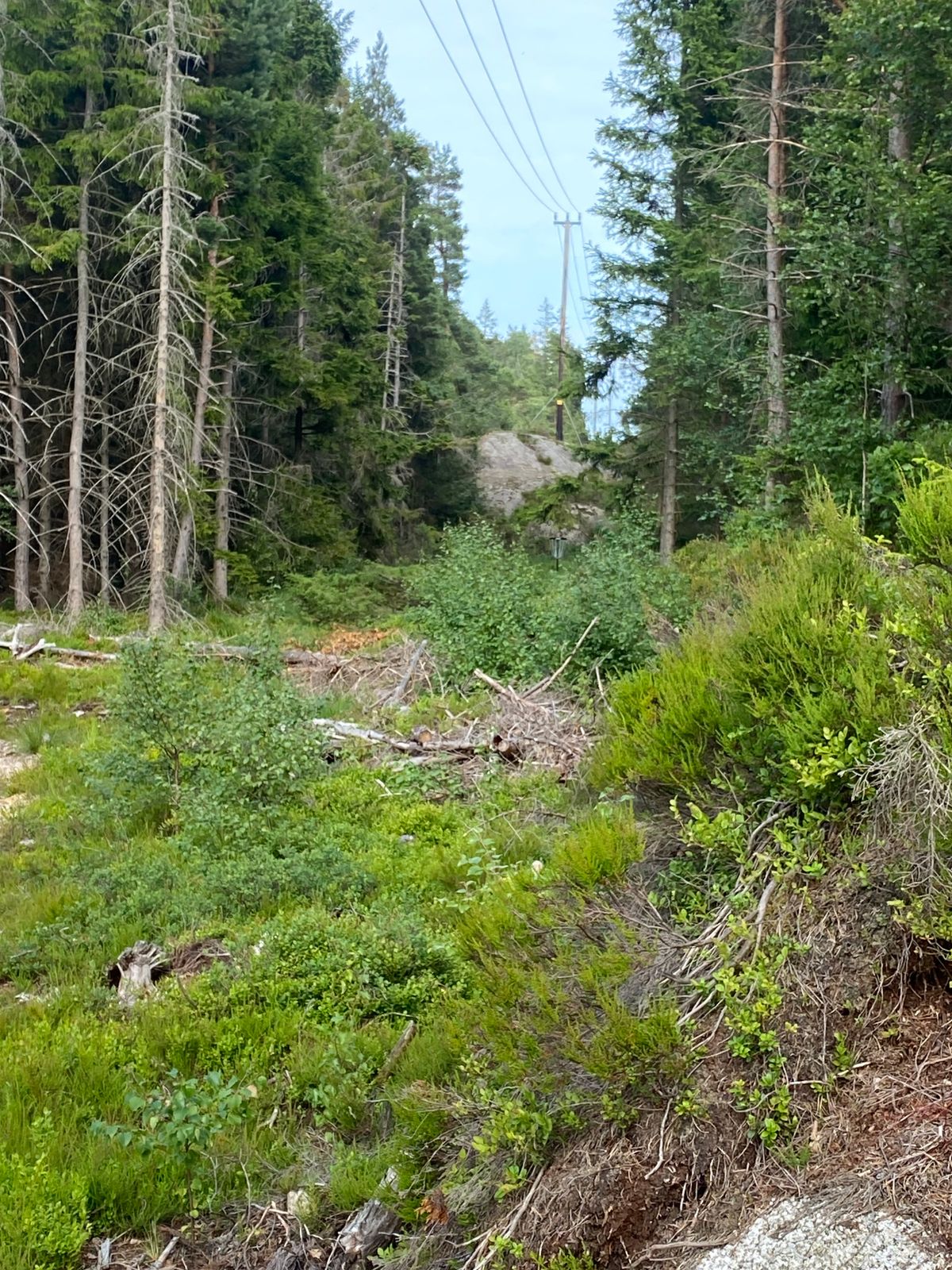 Kurv 6, mot fjellet under strømlinja.