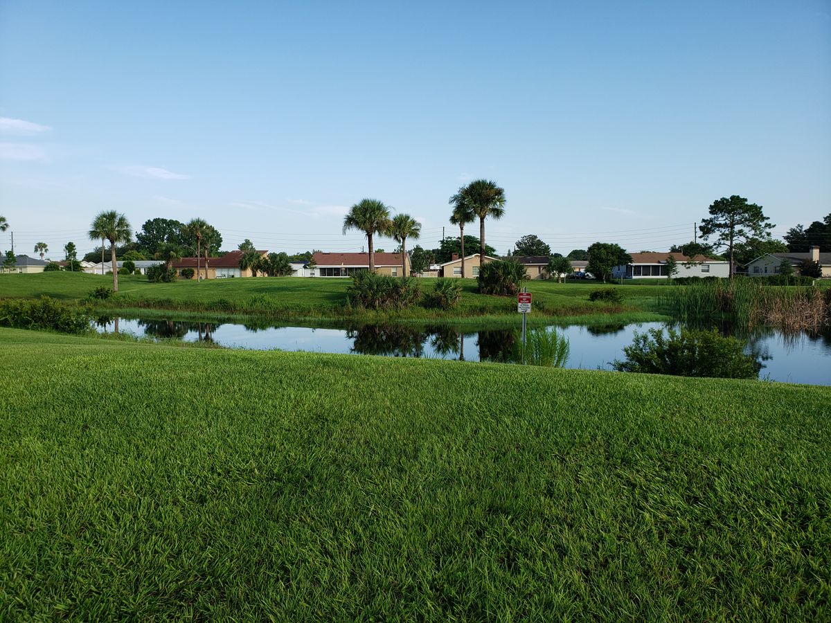 View across lake from #2 Fairway over to #13 Basket in background.