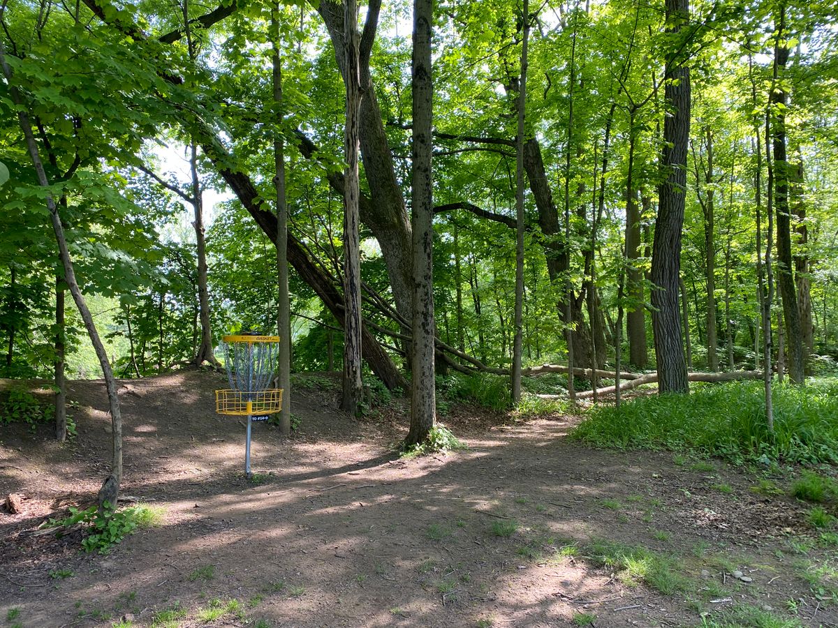 Hole 13 basket