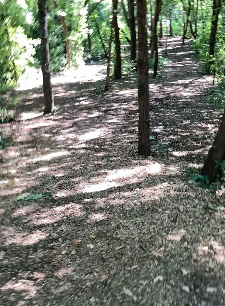 View from Hole 1